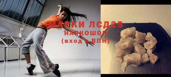 индика Володарск