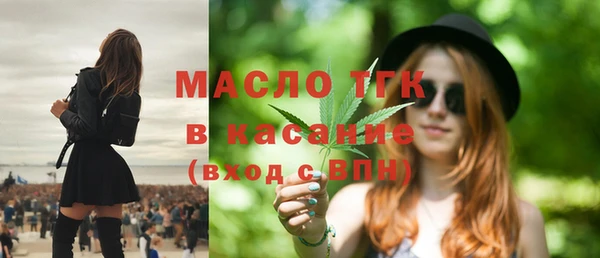 индика Володарск