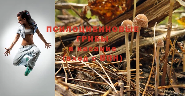индика Володарск