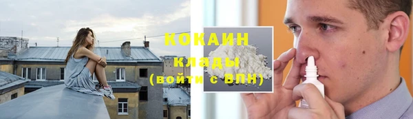 индика Володарск
