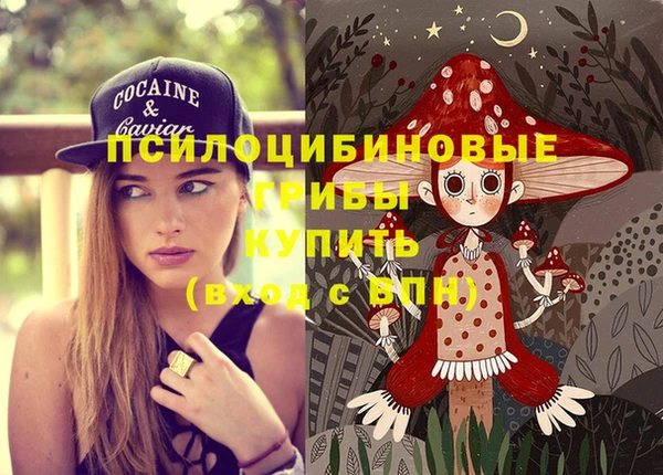 индика Володарск