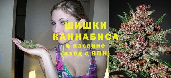 индика Володарск