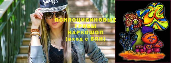СК Волосово