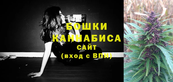 СК Волосово