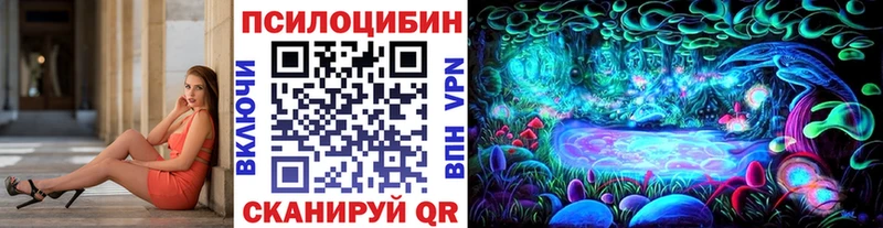 Галлюциногенные грибы MAGIC MUSHROOMS  купить наркотик  Северобайкальск 