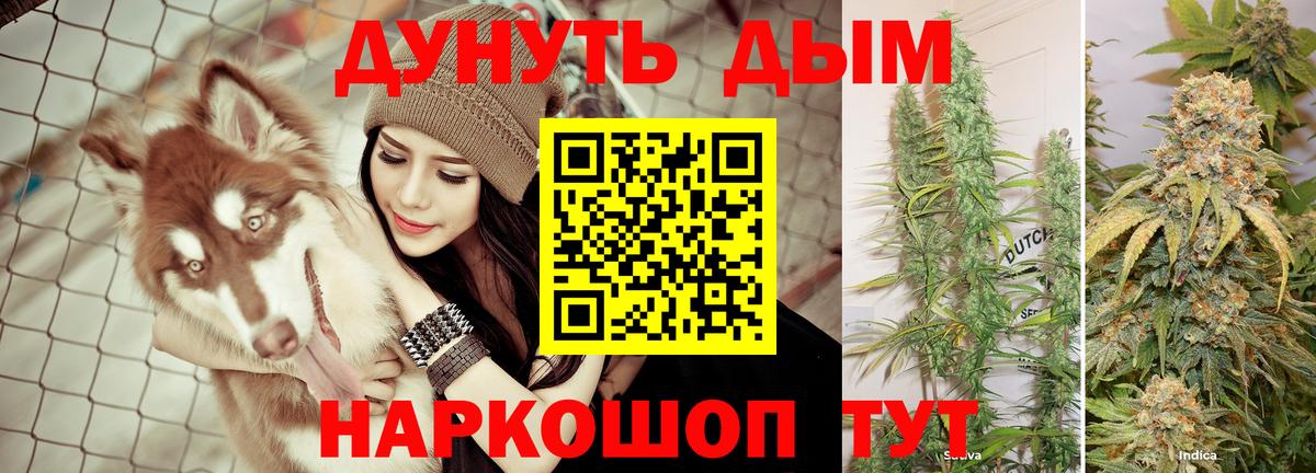 Шишки марихуана Amnesia  Вход с VPN  Северобайкальск  Конопля Bruce Banner 